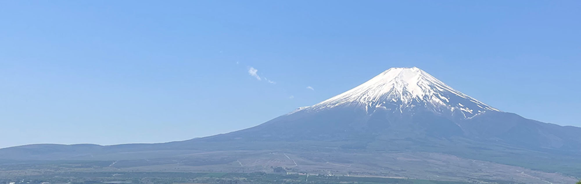 日々のブログ